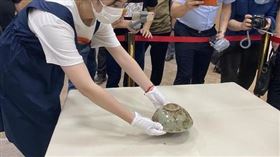 ▲福建撈起元代龍泉窯名瓷。（圖／翻攝自漳州市公安微信）