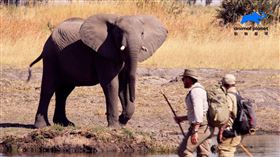 圖／動物星球頻道提供