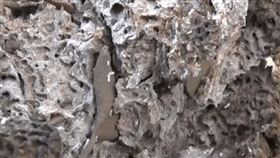 ▲超大蟻穴。（圖／翻攝自石首消防微信）