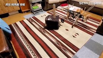 老犬得初老症　飼主製道具讓牠練走路