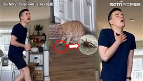 ▲國外網友與男友在家，因打開門窗讓蟬飛進屋子裡。（圖／TikTok／diegosaurus_rex 授權）