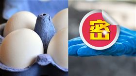 雞蛋,歷史,古物,新奇,糞坑,以色列