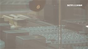 高端疫苗二期解盲成功! 加速規劃