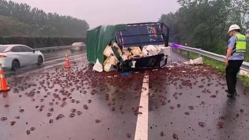 天雨路滑翻車　美食食材小龍蝦逃竄