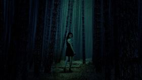 鬼月,陰森,樹林,森林,山路（圖／翻攝自pixabay）