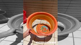 曬午時水／網友陳嘉嘉授權提供