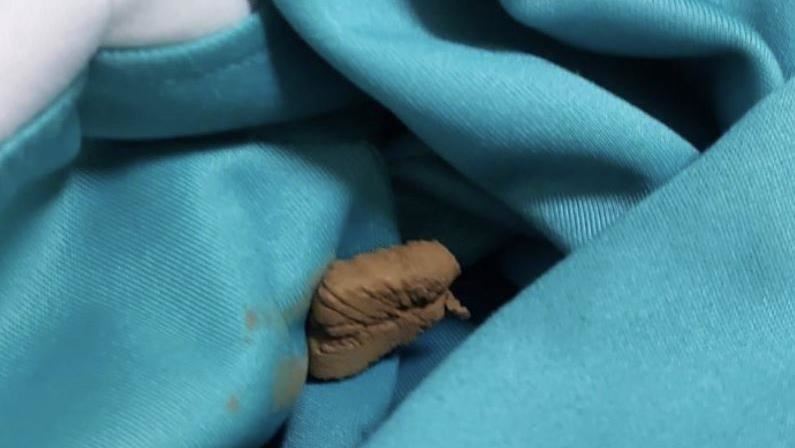 外套驚見咖色條狀物！真相曝光秒傻眼