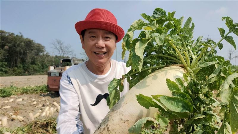 聽音樂長大的菜脯　蘿蔔倒頭栽最好吃