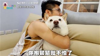 萌柴聽雷聲巨響嚇壞　腳狂抖求主人抱