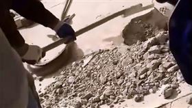 廣東,鯰魚,怪聲,下水道（圖／翻攝自網易視頻）