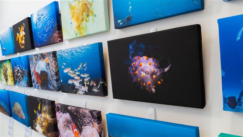 獨／潛水店收入歸零！不裁員出售掛畫