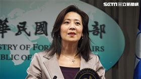 外交部發言人兼公眾外交協調會執行長歐江安。（圖／記者陳政宇攝影）