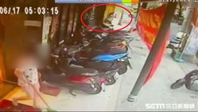 新北市,林口,信號彈,手機行