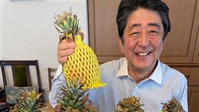 圖／翻攝自安倍晉三推特@AbeShinzo