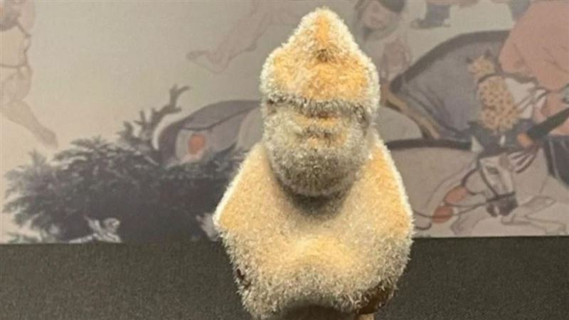 怕冷？博物館陶俑竟長毛！館長揭真相