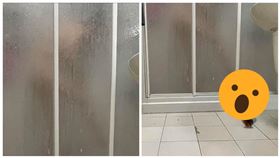 寵物,老公,洗澡,鸚鵡,偷看,灰鸚,小鳥「爆廢公社二館」