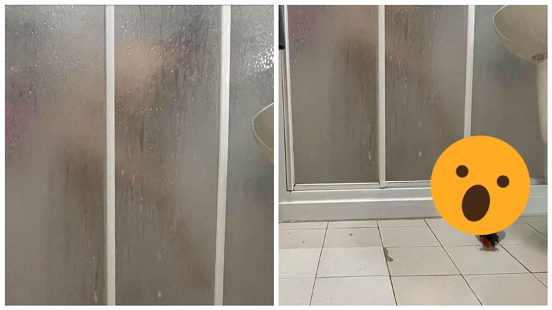 洗澡被偷窺！兇手曝光…上萬網友驚呆