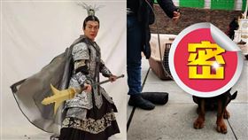 錢小豪腰帶牽著「哮天神犬」直播不受控。 （圖／翻攝自錢小豪內地影迷後援會微博）

