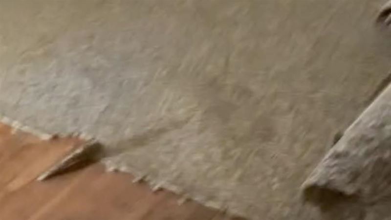新家地毯下有黑線！網見輪廓嚇：逃啊