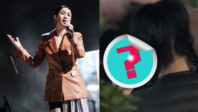 那英。(圖／那英微博)