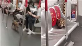 圖／翻攝自香港野豬關注組臉書
