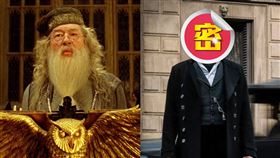 哈利波特,鄧不利多
圖翻攝自Harry Potter臉書、怪獸與牠們的產地臉書