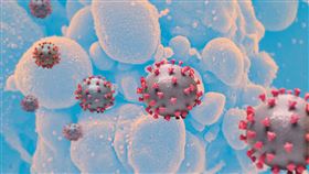 covid-19（翻攝自NIAID官網）