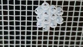 圖／翻攝自爆系知識家