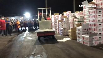 獨／直擊北農大破口　出入頻繁沒人攔