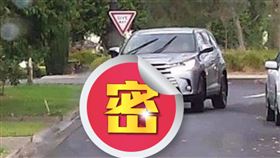 駕駛在行徑途中停車讓一對袋鼠過馬路，豈料牠們卻開始交配。（圖／翻攝自edii推特）