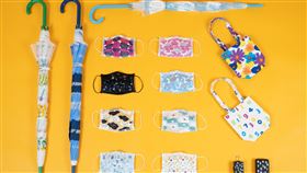 小七。（圖／業者提供）