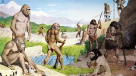 ▲原始人類活動圖。（示意圖／翻攝自百度百科）