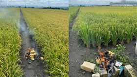 收割,習俗,燒金紙,土地公,神農大帝