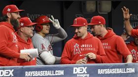 天使大谷翔平。（圖／美聯社／達志影像）