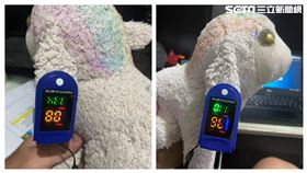 「快樂缺氧」慢性低血氧的症狀，一度讓坊間血氧機大缺貨。一位民眾買了三個，女兒一招破解是假貨。（組合圖／詹先生授權提供）