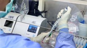 PCR檢驗、疫情、篩檢、新冠肺炎（圖／記者邱榮吉攝影）