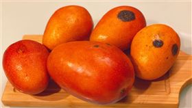 芒果黑斑，炭疽病及黑斑病，成熟甜度高，