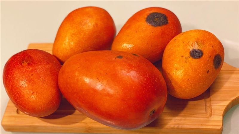 芒果長黑斑還能吃嗎？專家：包甜鐵證