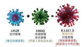 張金堅醫師提供