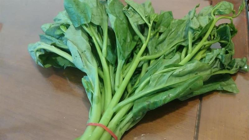 吃到1冷門蔬菜！他曝口感：驚為天人