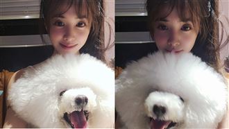 蔡依林曬素顏居家照　網揪1亮點嗨了