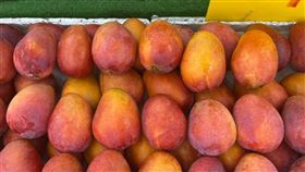 楊哲芒果/翻攝自臉書