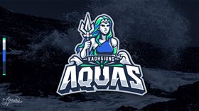 ▲T1職籃高雄海神隊LOGO曝光。（圖／高雄海神提供）