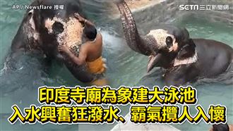 印度寺廟建泳池　大象入水超興奮