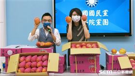 洪孟楷、鄭麗文 圖／國民黨團提供