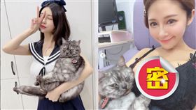 安希,餅餅,愛貓,貓掌,羨慕