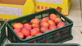 行政院長蘇貞29日視察枋山地區農會芒果集貨包裝場。（圖／行政院提供)