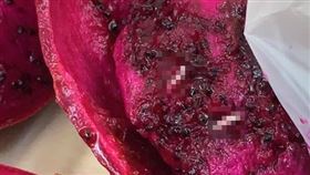 見火龍果「幼蟲蠕動」！他怨店家沒把關　網罵翻：過度解讀