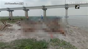 印度恐死2百萬人「沒錢火化」　恆河漂浮屍，AP/Newsflare 授權；AP/SWNS 授權