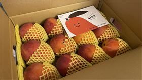 屏東爆發Delta病毒，讓枋山愛文芒果面臨退訂潮，華科基金會決定加購芒果力挺果農。（圖／華科基金會提供）